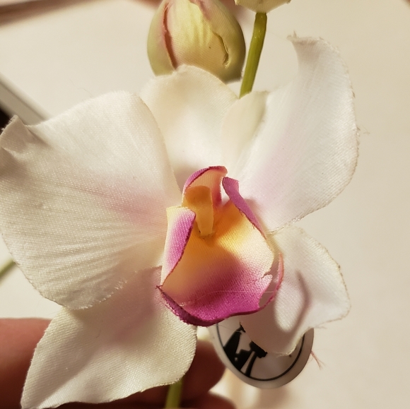 Orchid boutonnieres 5 - Picture 1 of 4